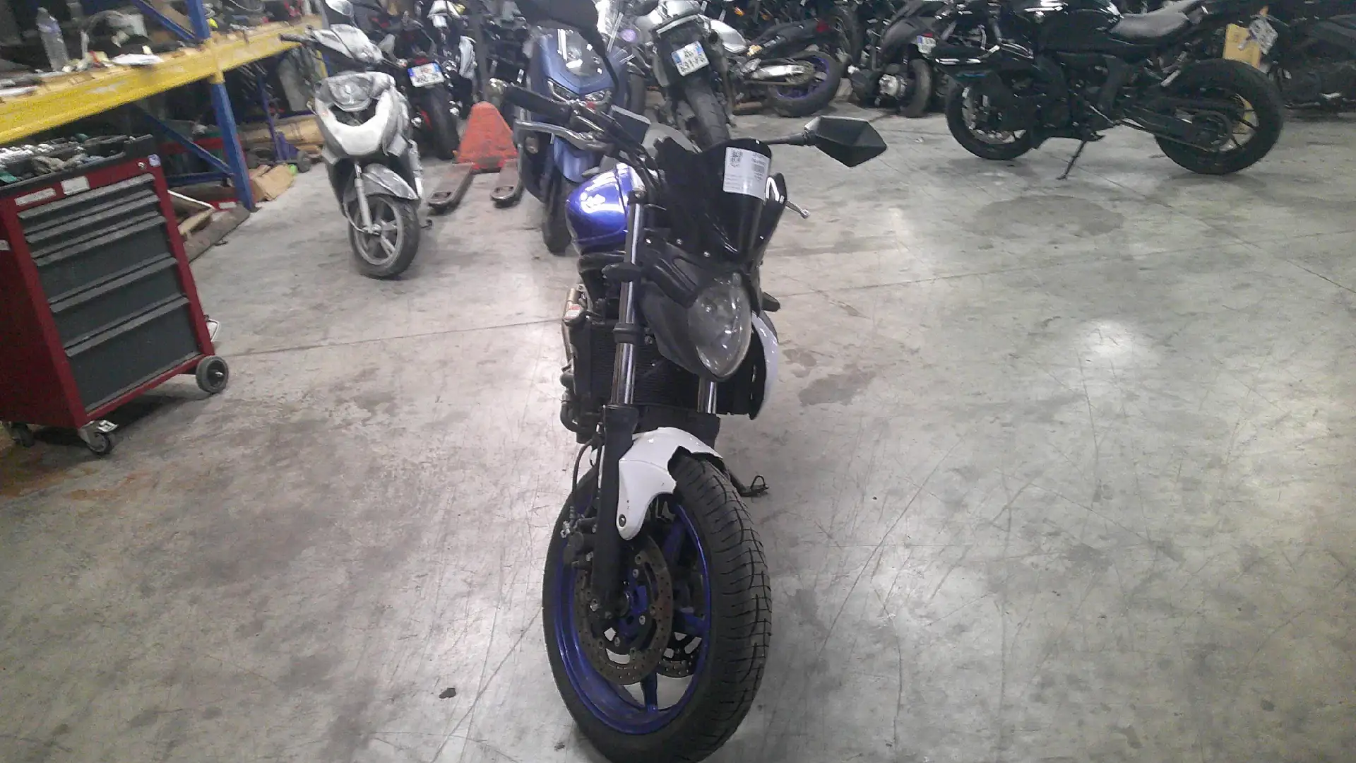 Suzuki Gladius 650 - 2