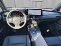 Lexus UX 300h F-Sport Design 199 PS 2WD Silber - thumbnail 10