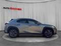 Lexus UX 300h F-Sport Design 199 PS 2WD Silber - thumbnail 6