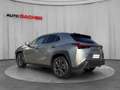 Lexus UX 300h F-Sport Design 199 PS 2WD Silber - thumbnail 3