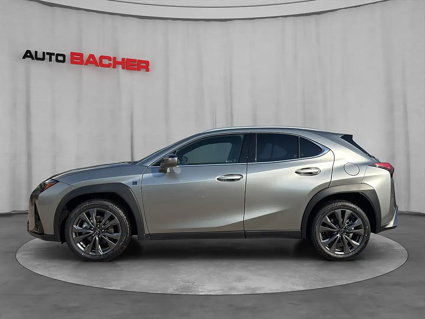Lexus UX 300h F-Sport Design 199 PS 2WD Silber - 2