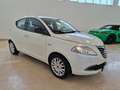 Lancia Ypsilon 1.2 8v 69cv Con Impianto GPL Blanc - thumbnail 3