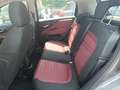 Fiat Punto Evo Punto Evo METANO 1.4 Natural Power EMOTION C. LEGA Grigio - thumbnail 14