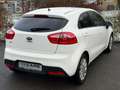 Kia Rio FIFA World Cup Edition Scheckheftgepflegt Weiß - thumbnail 4