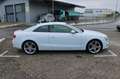Audi A5 Coupe 2.0 TDI Quattro*STANDHEIZ*8 FACH*KEYLES Weiß - thumbnail 6