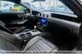 Ford Mustang 5,0 Ti-VCT V8 Bullitt*Ö-FAHRZEUG* Grün - thumbnail 13