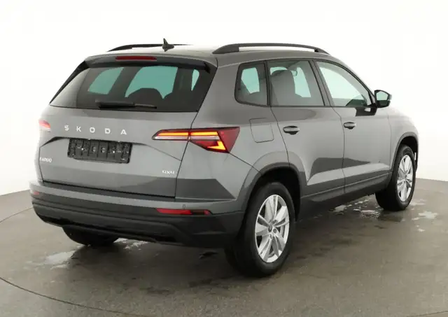 Skoda Karoq view 2