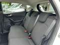 Ford Fiesta Fiesta 1.1 75 CV 5 porte Titanium Bianco - thumbnail 6
