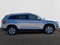 Skoda Kodiaq Kodiaq Ambition 2,0 TDI 110 kW 6-speed mech. 4x4 Grijs - thumbnail 18
