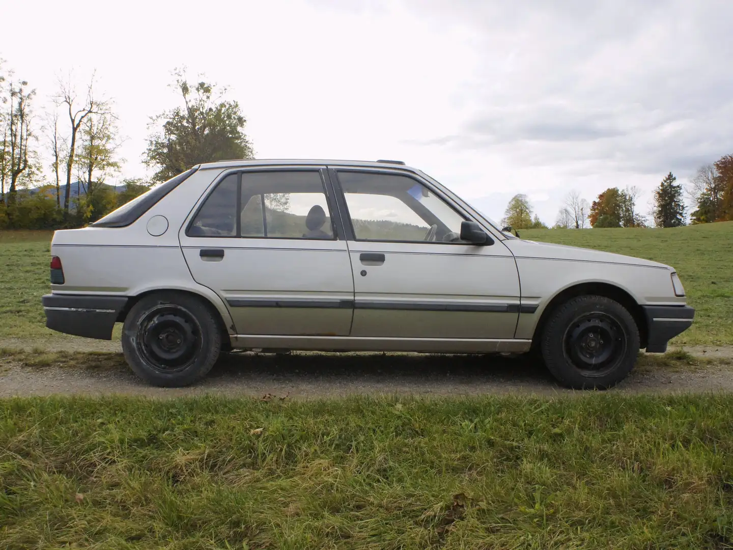 Peugeot 309 309 Injection GT Šedá - 2