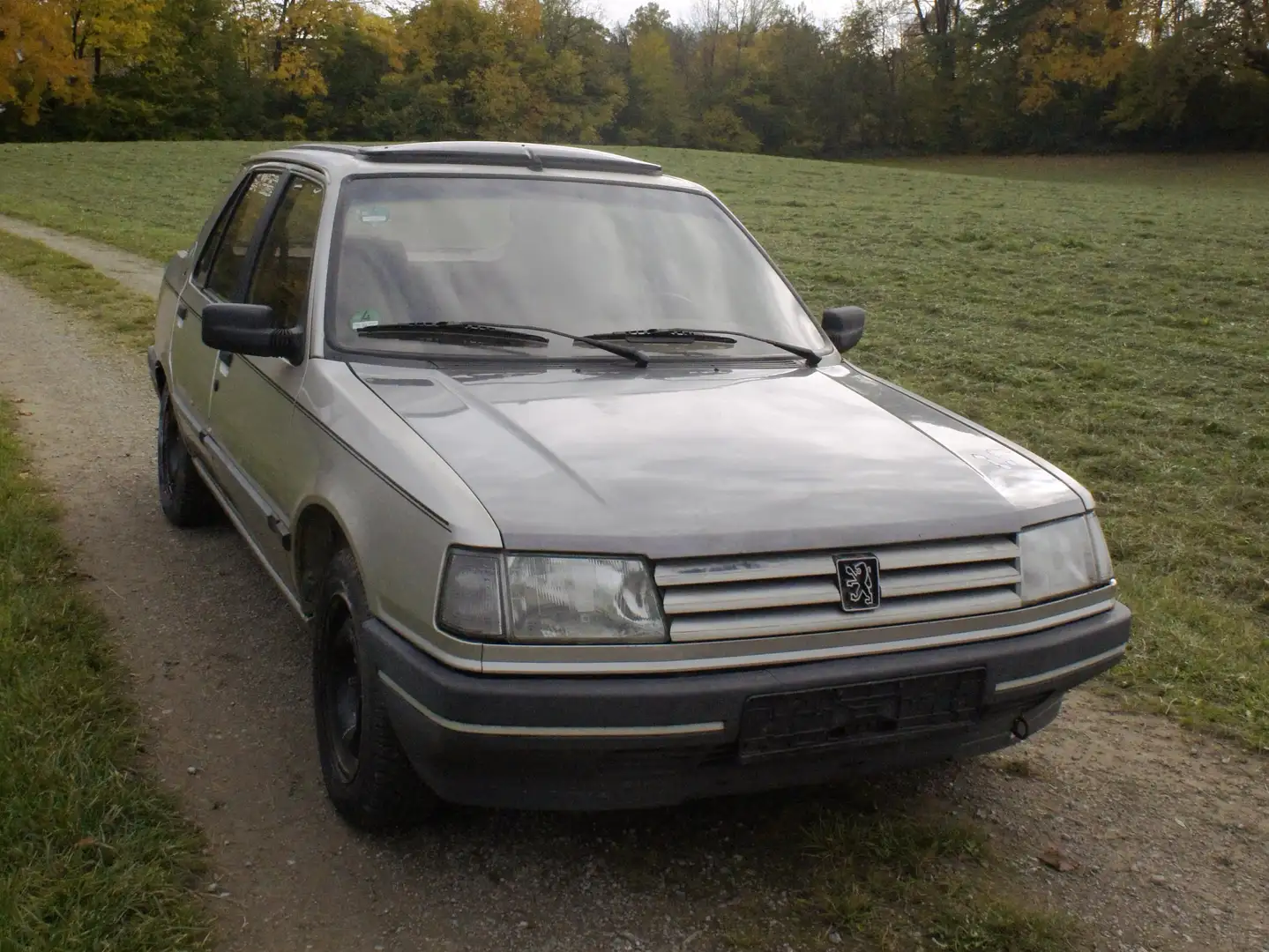 Peugeot 309 309 Injection GT Šedá - 1