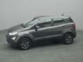 Ford EcoSport Cool&Connect 100PS/Winter-Paket Grijs - thumbnail 40