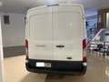 Ford Transit 350 96kW L3H2 Van Trend FWD MHEV Weiß - thumbnail 9
