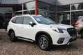 Subaru Forester FORESTER Comfort 2.0 iE MY23 Weiß - thumbnail 1