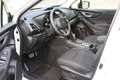 Subaru Forester FORESTER Comfort 2.0 iE MY23 Weiß - thumbnail 5