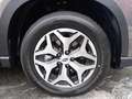 Subaru Forester FORESTER Comfort 2.0 iE MY23 Weiß - thumbnail 14