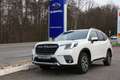 Subaru Forester FORESTER Comfort 2.0 iE MY23 Weiß - thumbnail 2