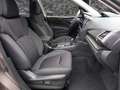 Subaru Forester FORESTER Comfort 2.0 iE MY23 Weiß - thumbnail 13