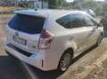 Toyota Prius+ Prius+ III 20121.8h Style ecvt Bianco - thumbnail 4