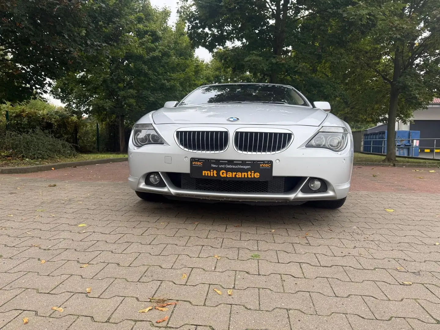 BMW 645 645 CI Gris - 1