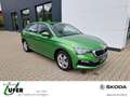 Skoda Scala Active 1.0 TSI PDC SmartLink Sitzheizung Grün - thumbnail 12