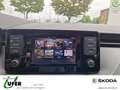 Skoda Scala Active 1.0 TSI PDC SmartLink Sitzheizung Grün - thumbnail 15