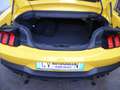 Ford Mustang Convertible Convertible 5.0 V8 GT 446cv automatica Giallo - thumbnail 11
