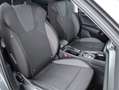 Skoda Octavia Ambition TDI DSG Grau - thumbnail 6