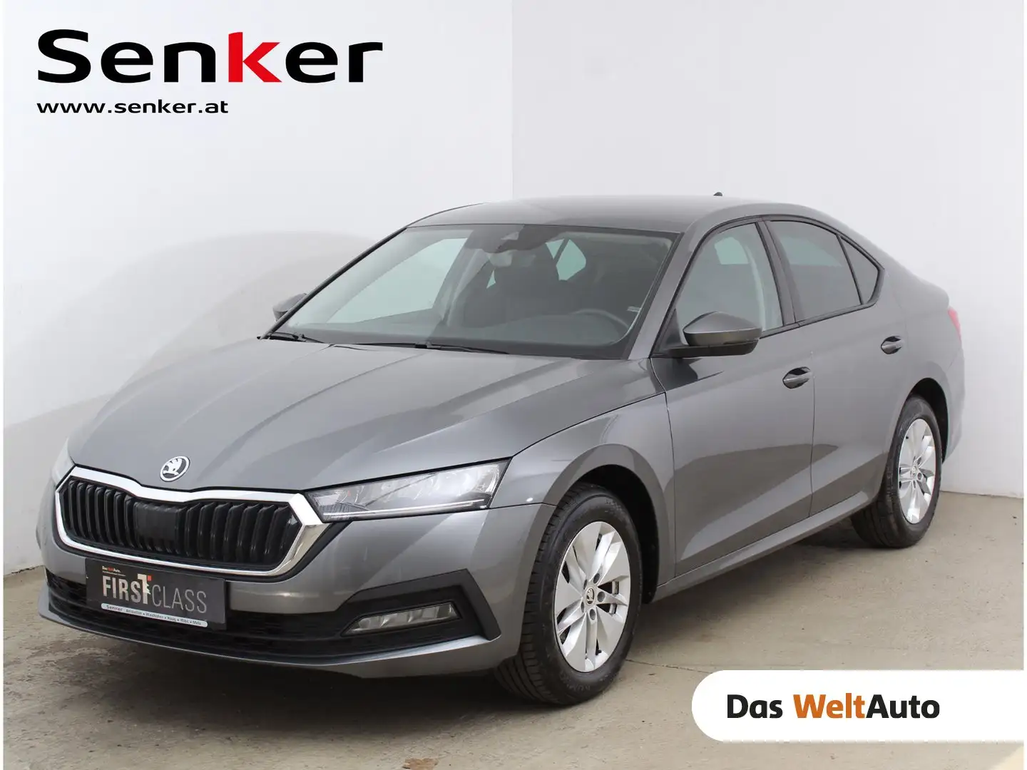Skoda Octavia Ambition TDI DSG Grau - 1