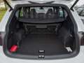 SEAT Tarraco FR 1.5TSI DSG NAVI/ACC/BEATS/SITZH Weiß - thumbnail 9