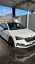 Skoda Scala 1.0 tsi Sport Monte Carlo 110cv dsg - thumbnail 2