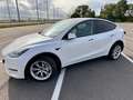 Tesla Model Y AWD Long Range Weiß - thumbnail 2