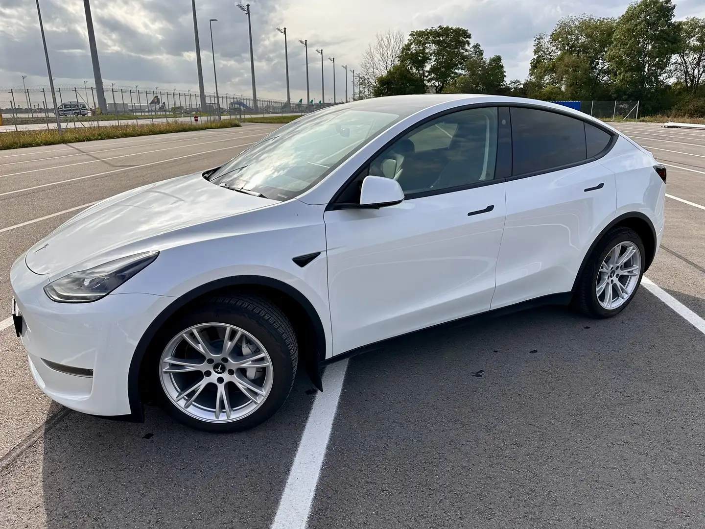 Tesla Model Y AWD Long Range Weiß - 2