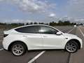 Tesla Model Y AWD Long Range Weiß - thumbnail 6