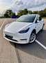 Tesla Model Y AWD Long Range Weiß - thumbnail 1