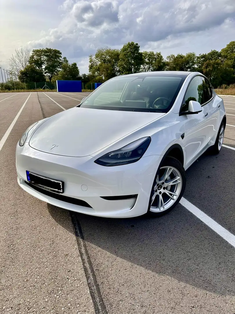 Tesla Model Y AWD Long Range Weiß - 1
