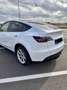 Tesla Model Y AWD Long Range Weiß - thumbnail 3