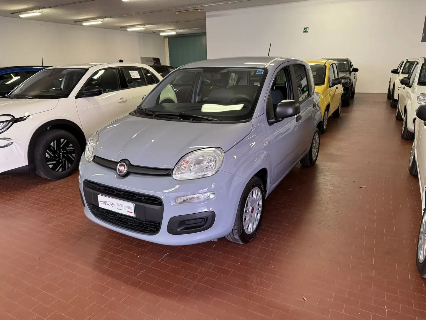 Fiat Panda 1.2 Easy - 2