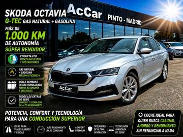 Combi 1.4 TSI CNG Style DSG 81kW