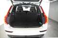 Volvo XC90 XC90 D5 AWD R-Design Weiß - thumbnail 27