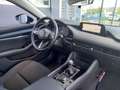 Mazda 3 2.0 e-SkyActiv-G M Hybrid - NAVI - CARPLAY/ANDROID Nero - thumbnail 15