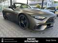 Mercedes-Benz SL 63 AMG AMG SL 63 4M+ Perf.Sitze+Carbon+Lift+PremiumPlus Grau - thumbnail 12