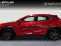 Lexus UX 250h Business 2WD Rojo - thumbnail 3