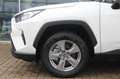 Toyota RAV 4 4 Hybrid Business Edition/KAMERA/PDC/NAVI/SHZ Weiß - thumbnail 3