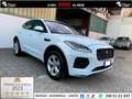 Jaguar E-Pace 2.0 i4 R-DYNAMIC S AWD TETTO PELLE NAVI CRUISE PDC White - thumbnail 1