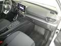 SEAT Leon Reference 2.0 TDI Weiß - thumbnail 11