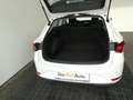 SEAT Leon Reference 2.0 TDI Weiß - thumbnail 19