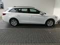 SEAT Leon Reference 2.0 TDI Weiß - thumbnail 16