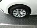 SEAT Leon Reference 2.0 TDI Weiß - thumbnail 20