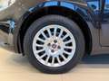 Fiat Punto 1.2 8V 5 porte Street +UNICO PROPRIETARIO Noir - thumbnail 16